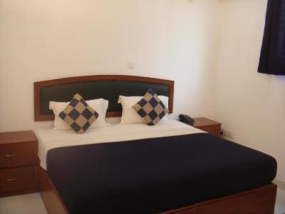 Hotel Malik Continental New Delhi Buitenkant foto